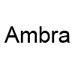 Pi&egrave;ces D&eacute;tach&eacute;es Aspirateur Ambra